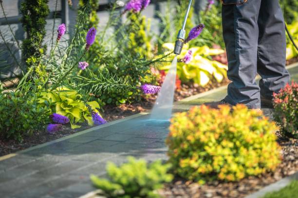 Best Parking Lot and Garage Cleaning  in Tracy City, TN